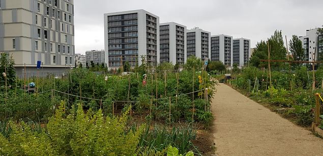   Vitoria Zabalgana linnaosa koloogiline kogukonna aed neljandal eluaastal juuli 2019