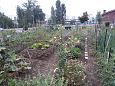 Vitoria Zabalgana linnaosa koloogiline kogukonna aed neljandal eluaastal juuli 2019  