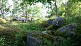 Tnu Otsason tutvustamas Heino Kiige poolt rajatud Lpe park.. | Dendroloogia Seltsi suvepevad 30
