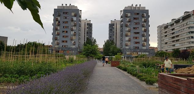   Vitoria (Hispaania) Lakua linnaosa ökoloogiline kogukonna aed teisel eluaastal juuli 2019