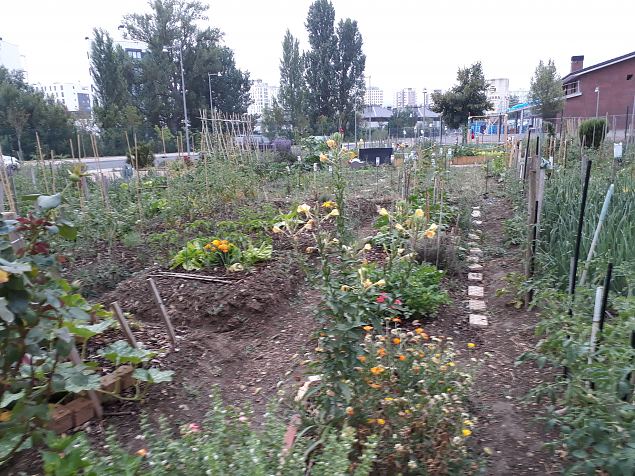   Vitoria Zabalgana linnaosa koloogiline kogukonna aed neljandal eluaastal juuli 2019