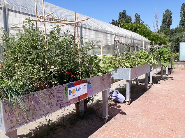   Vitoria Abetxuko linnaosa kogukonna aed juuli 2019